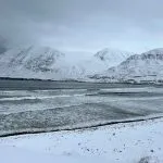 Jeff and Jill landscape