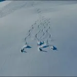 skiers carving snow on slope