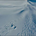 skiers carving snow trails