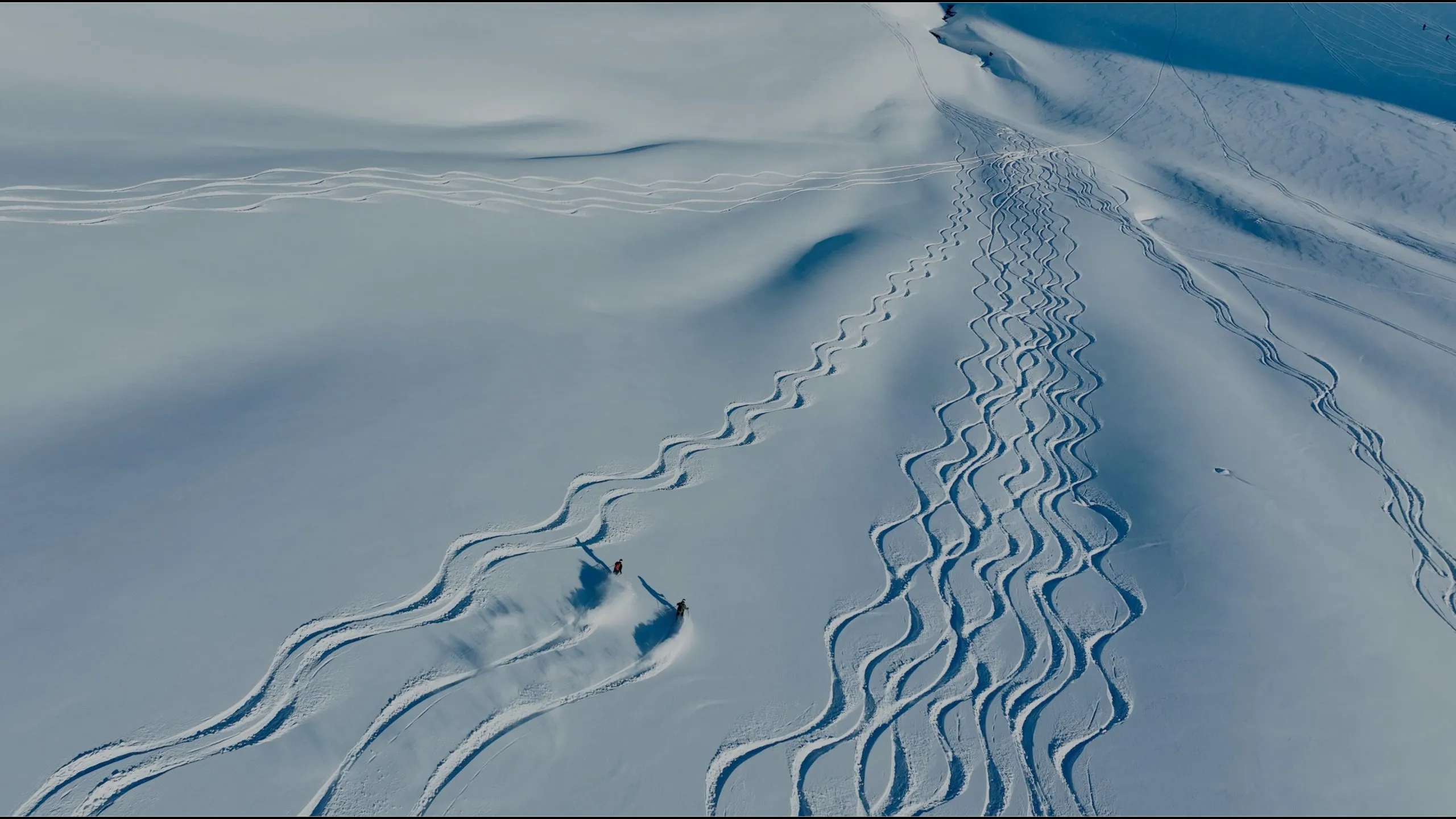 skiers carving snow trails